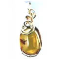 Amber & Insects Pendant 